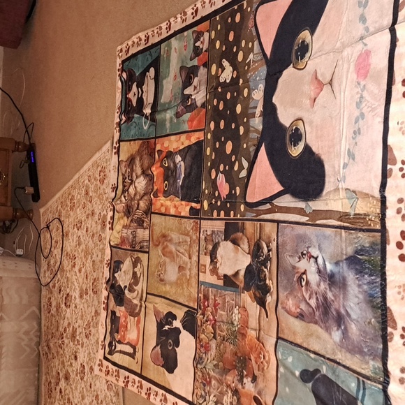 Other - Cat throw blanket SALE/ BUNDLE ONLY 2or more items